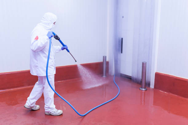 Best Commercial Pressure Washing in Pamplico, SC