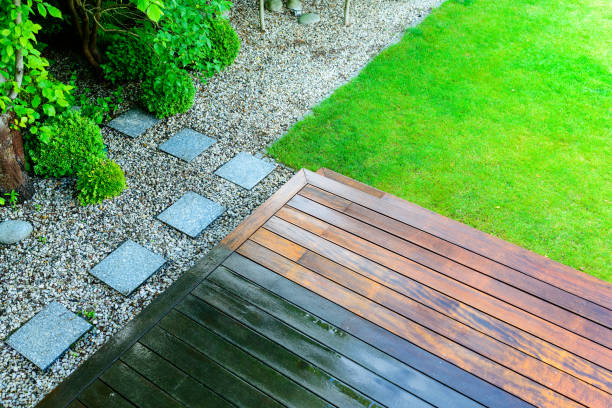 Best Roof Cleaning and Mildew Removal in Pamplico, SC